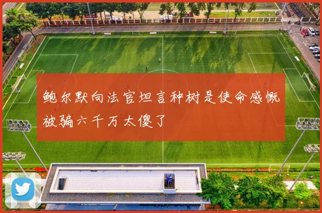 鲍尔默向法官坦言种树是使命感慨被骗六千万太傻了