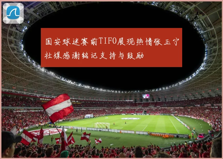 国安球迷赛前TIFO展现热情张玉宁社媒感谢铭记支持与鼓励