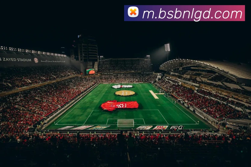 奖项证书